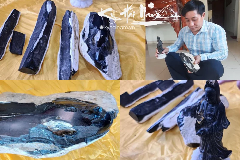 Kỳ nam hóa thạch là gì?