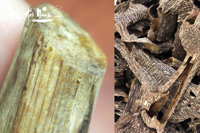 Trầm kỳ nam – Vua của các loại trầm hương giá trị hơn vàng ròng