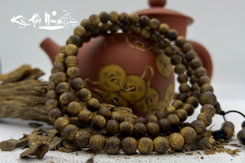 Cây Kỳ Hải Nam có tác dụng gì trong cuộc sống? 