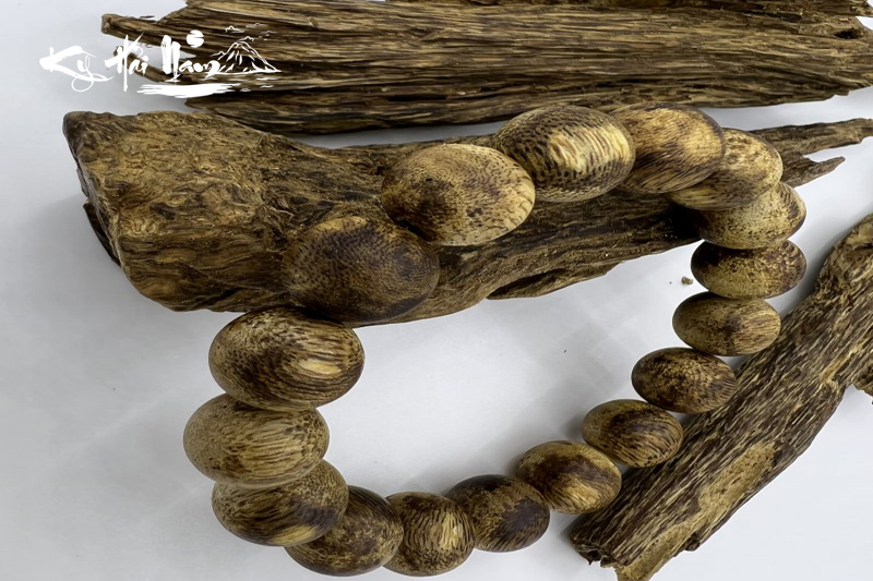 Kỳ Hải Nam có mấy loại? Đặc điểm của từng loại 