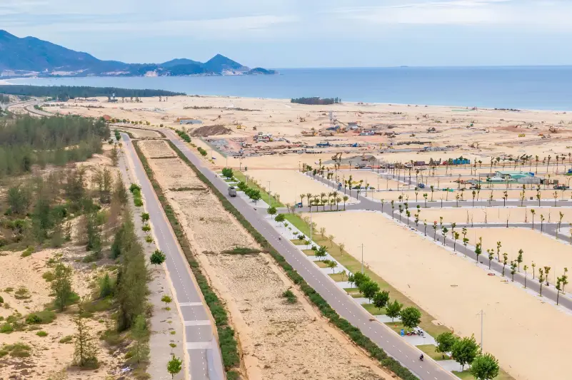 Đất cát ven biển có trồng được cây Kỳ Hải Nam không