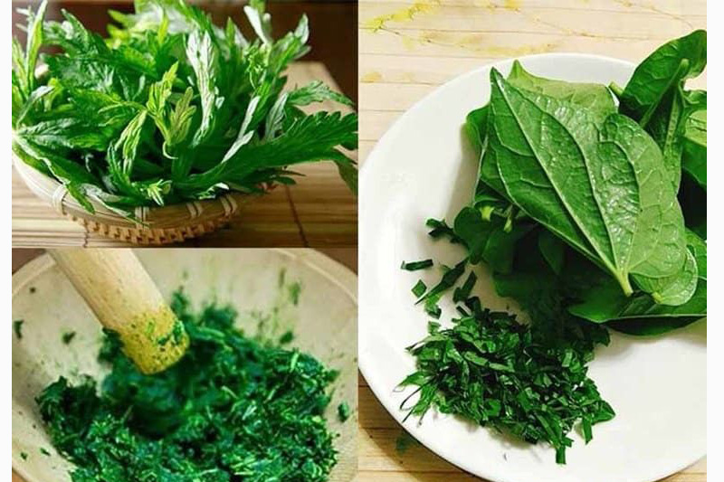 Lá đắp đau xương khớp như thế nào?