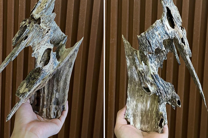 Quy mô thị trường trầm hương Việt Nam hiện nay như thế nào?