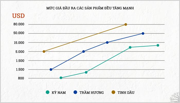 Thị trường trầm hương hiện nay có xu hướng như thế nào?