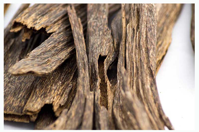 Mùi hương trầm thuộc thể loại gì theo phân loại mùi gỗ?