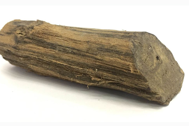 Trầm tốc kiến là gì? Có những đặc điểm gì và có giá trị hay không?