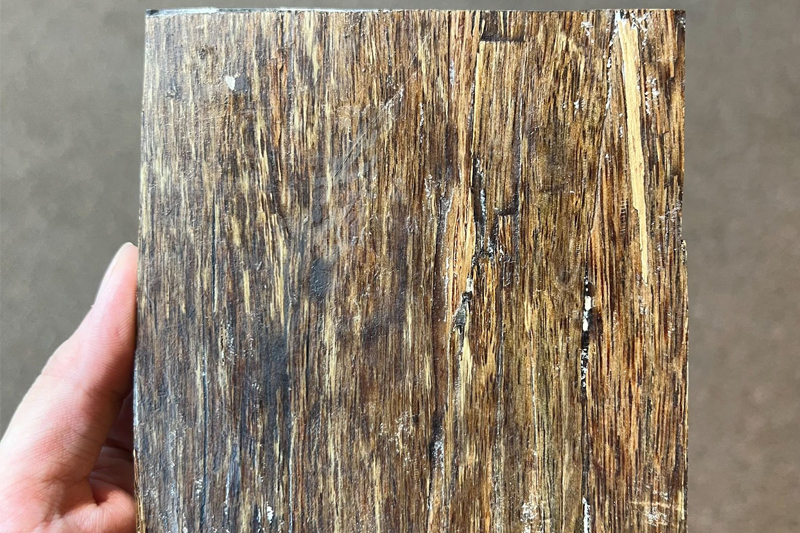 Trầm sánh chìm là gì? Một trong những loại trầm  giá trị nhất