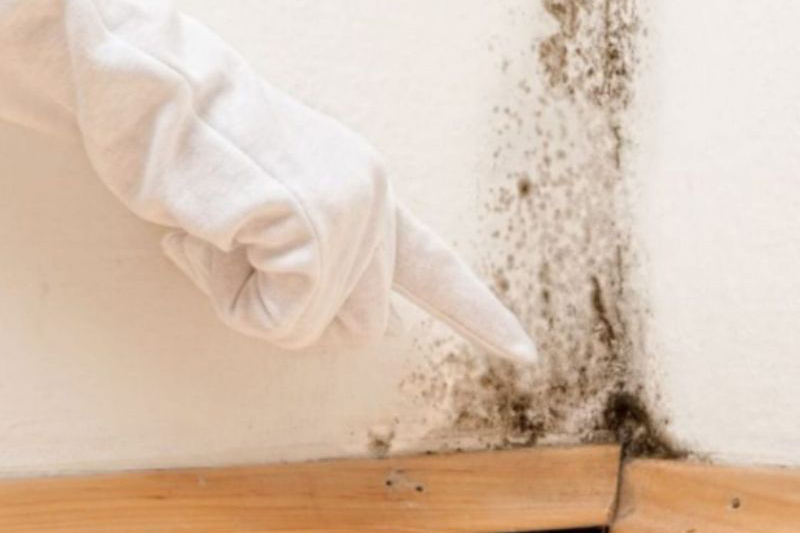 Nguyên nhân phòng bị ẩm mốc – mối nguy hiểm tiềm tàng